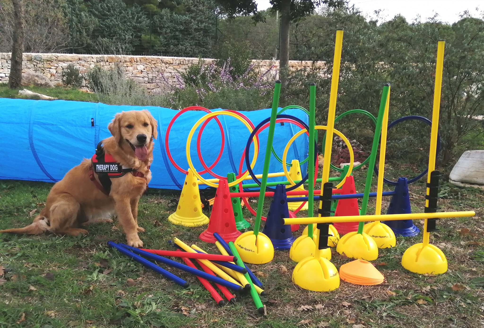 animali bambini fanel coppola interventi assistiti animali Loving dogs Macaranga bosco murgia natura puglia Ruvo di Puglia